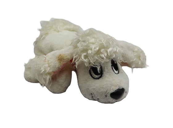 Pound puppy white poodle
