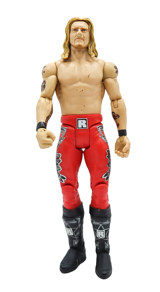 2011 Mattel WWE The Edge Wrestling Action Figure
