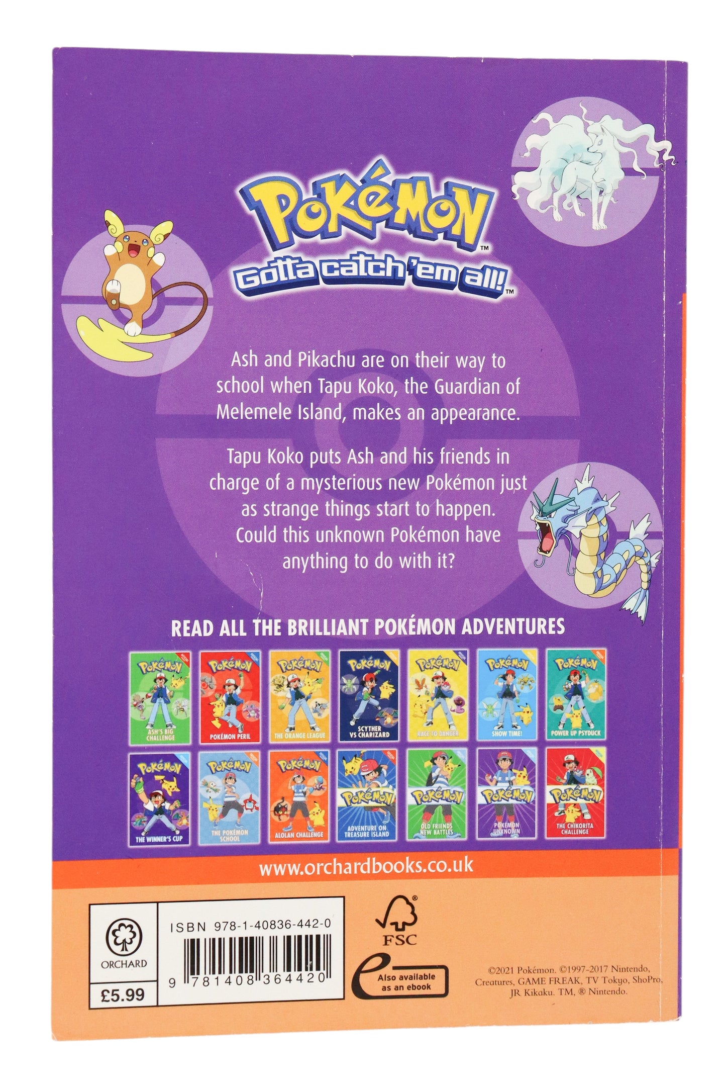 Pokémon Unknown Book