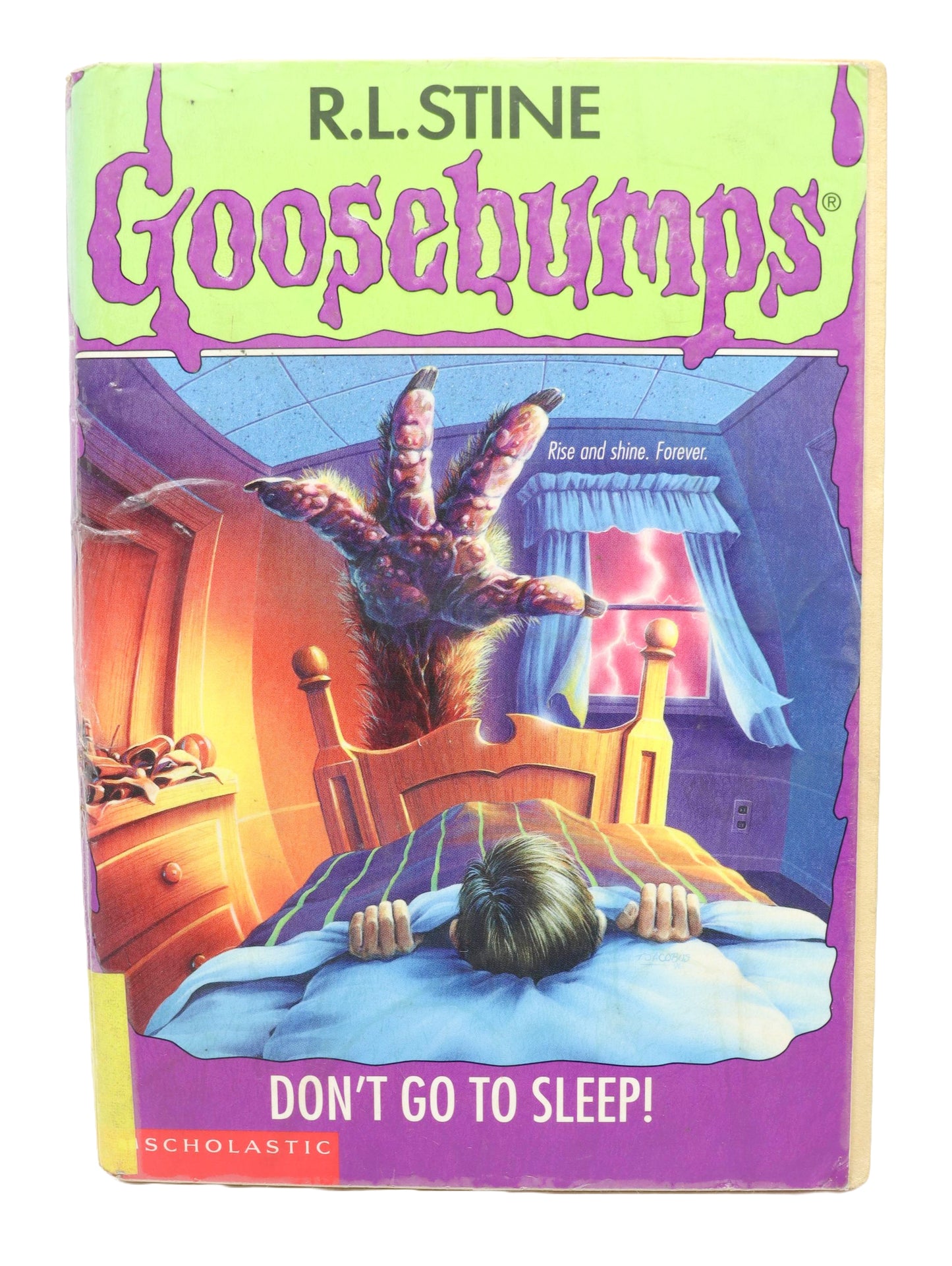 Goosebumps Don't Go to sleep book