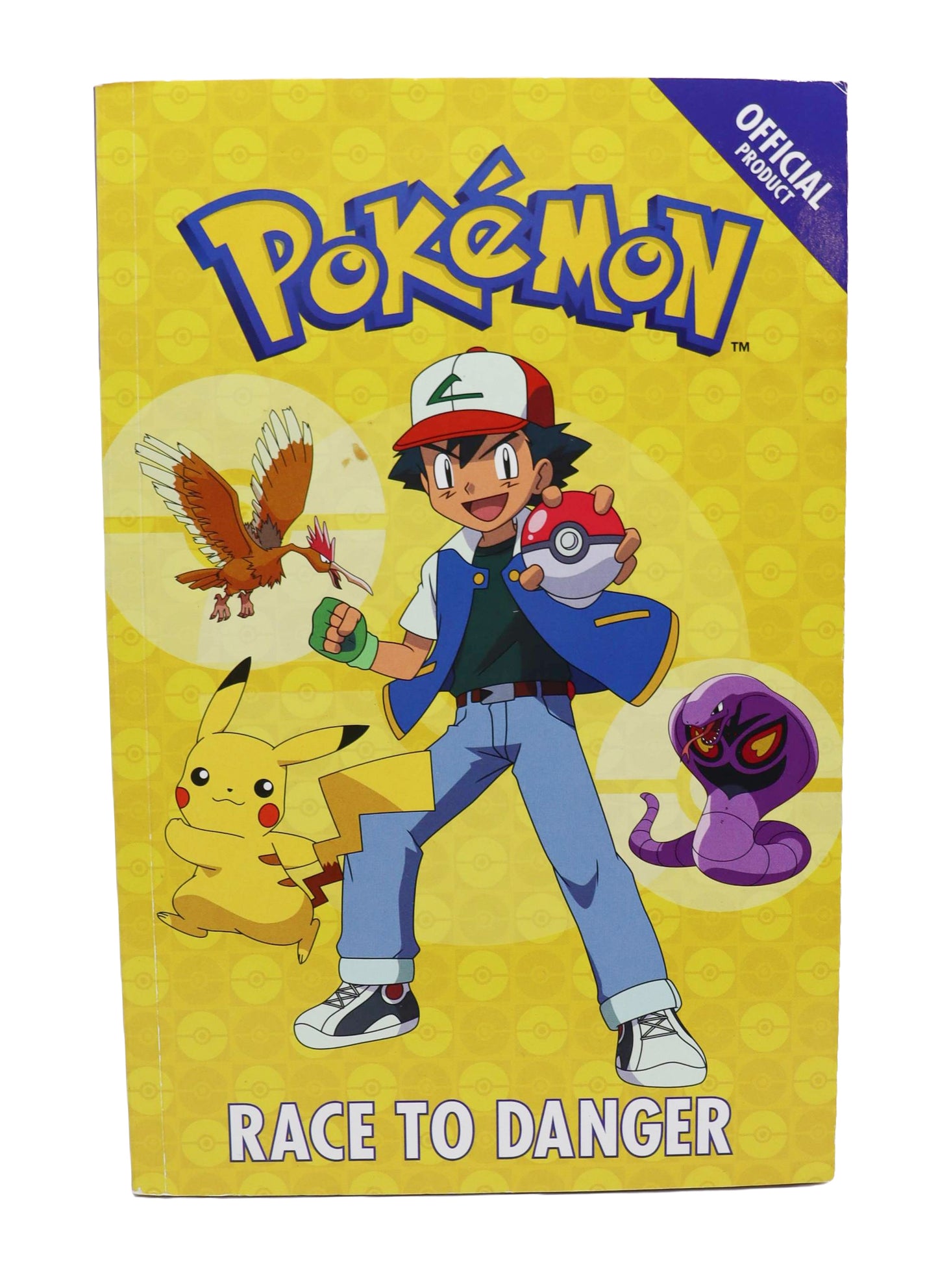 Pokemon Race To Danger Book