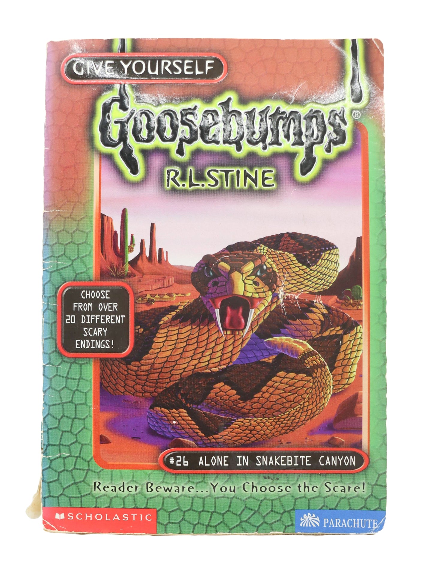 Goosebumps Reader Beware #26 Alone in Snakebite Mountain Book