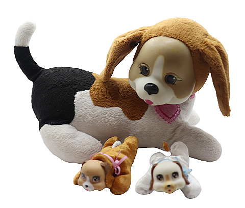 2016 Beagle Puppy Suprise + 2 pups