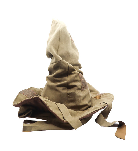 Harry Potter Interactive talking sorting hat