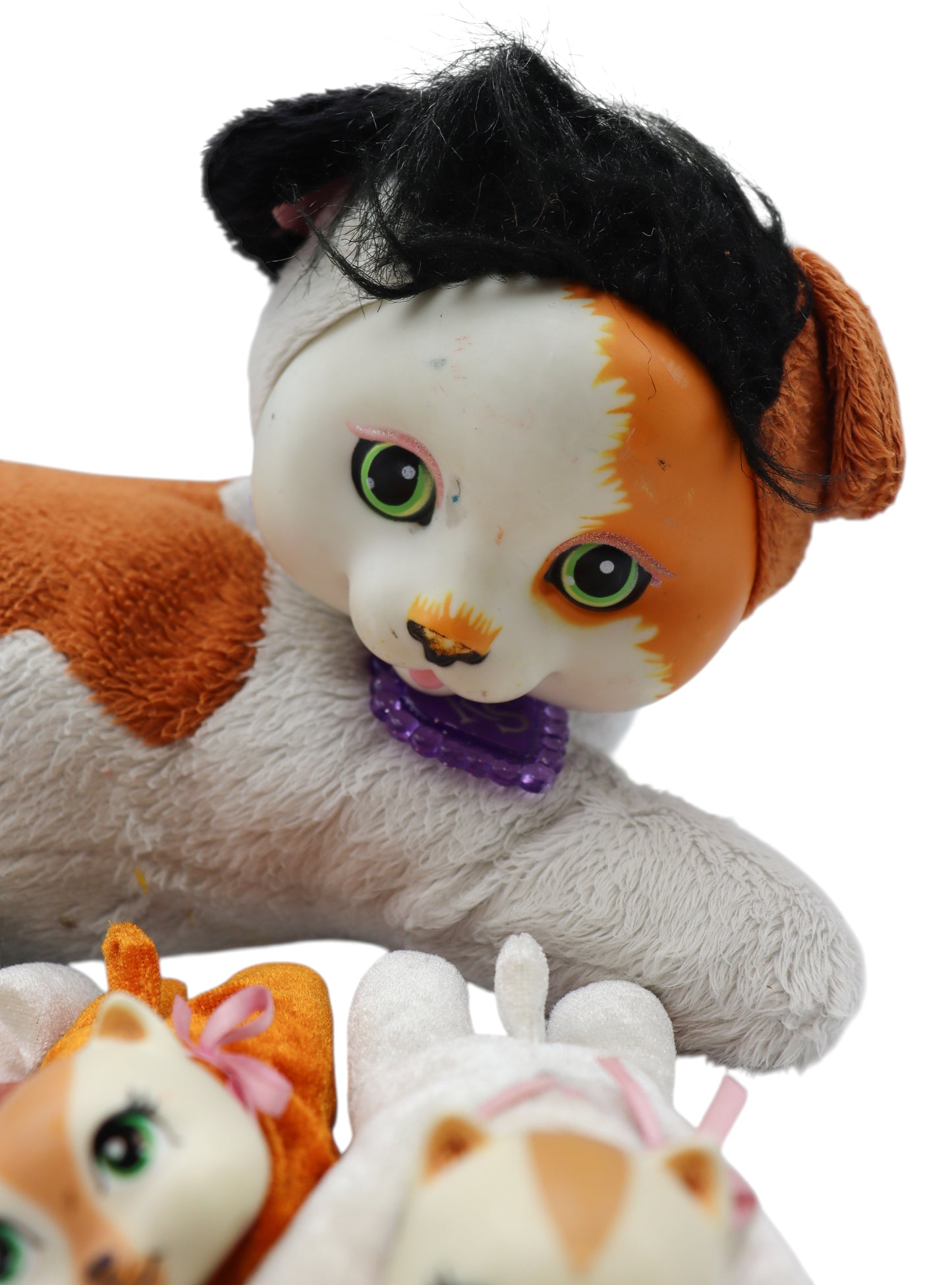 2017 Kitty Surprise Maple + 3 Kittens