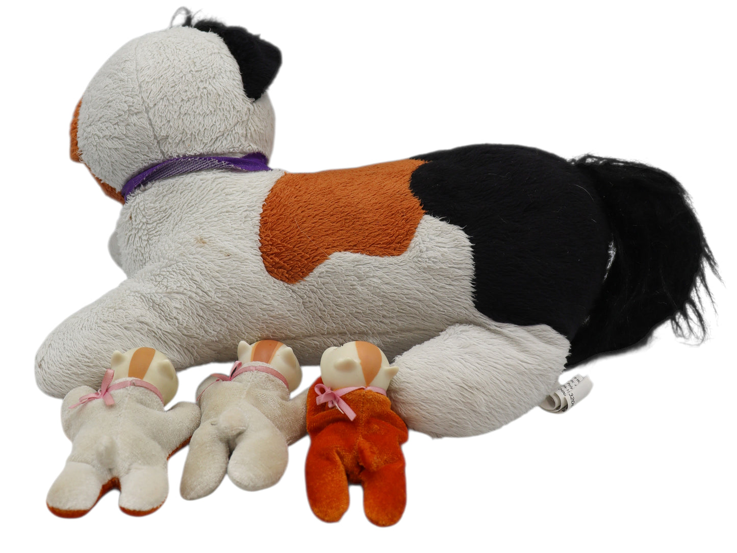 2017 Kitty Surprise Maple + 3 Kittens