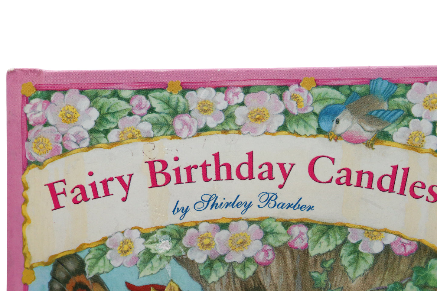 Shirley Barber Fairy Birthday Candles Book