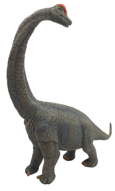 CollectA Brachiosaurus 88405 Scale 1:40