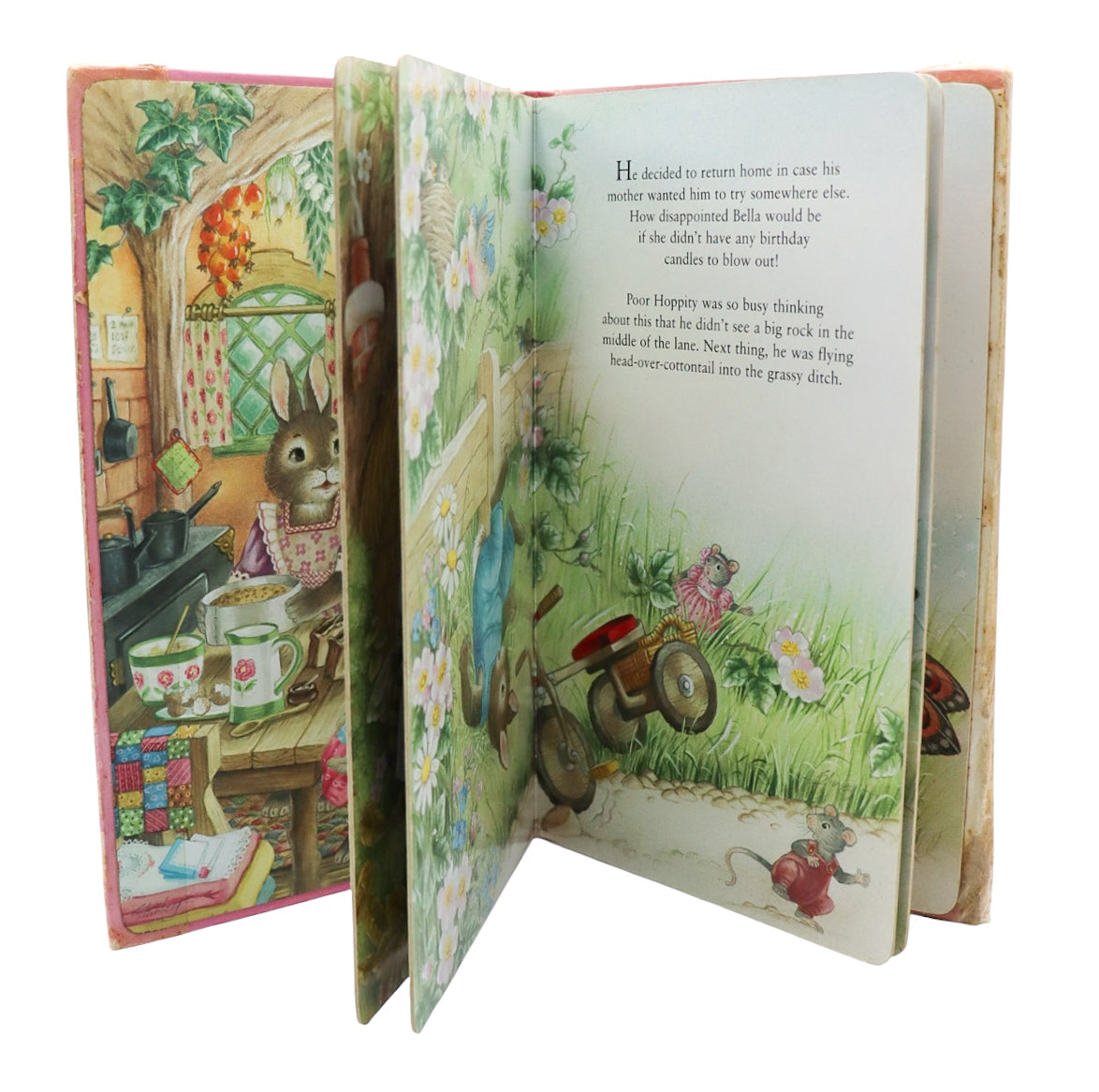 Shirley Barber Fairy Birthday Candles Book