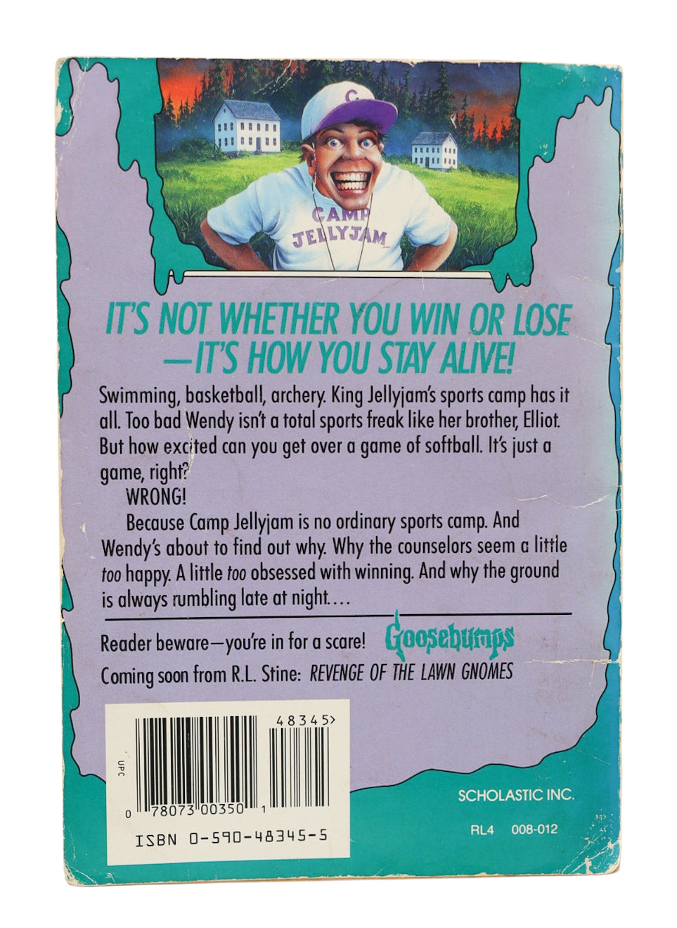 Goosebumps The Horror At Camp Jellyjam Book