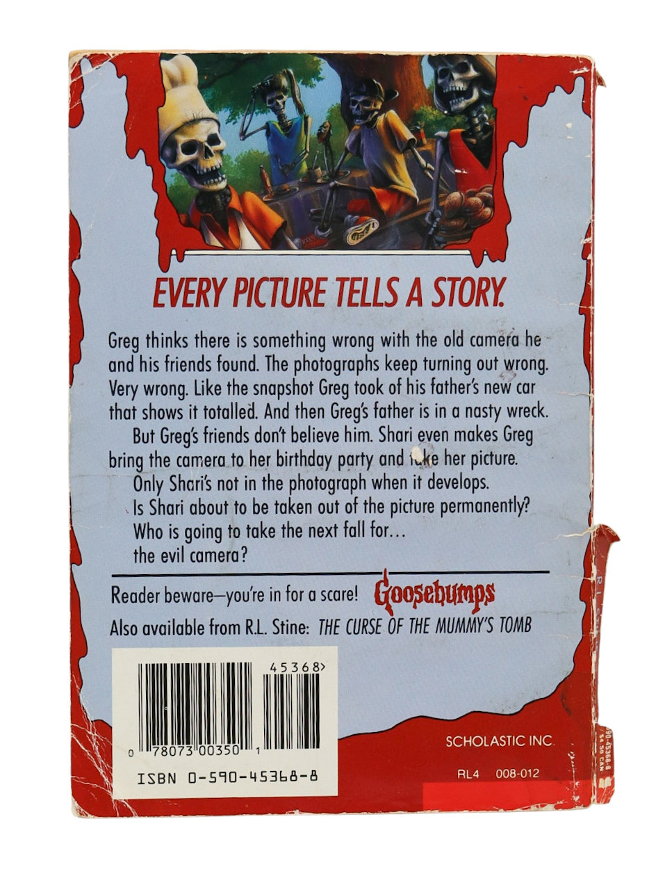 Goosebumps Say Cheese And Die! Book