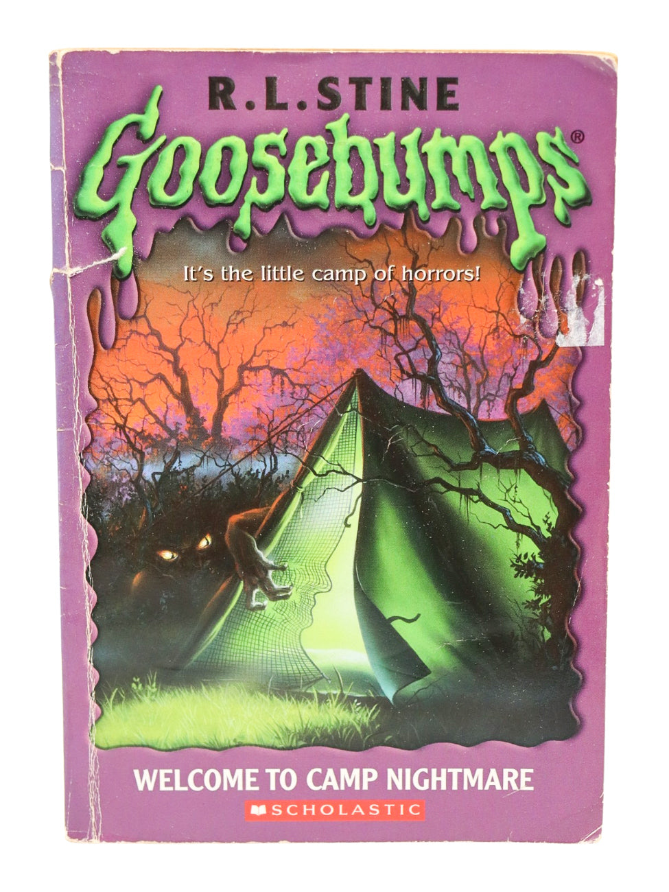 Goosebumps Welcome To Camp Nightmare Book