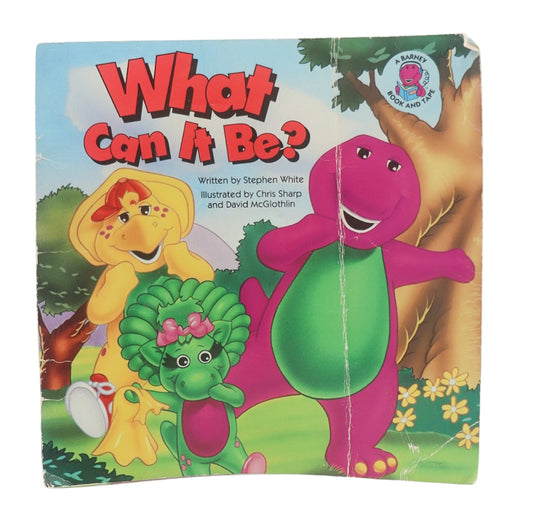 Barney What Can It Be? Book