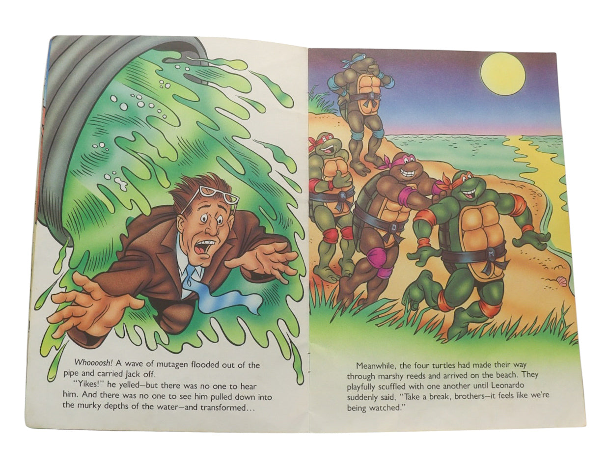 1990 Teenage Mutant Ninja Turtles A Fishy Adventure Book
