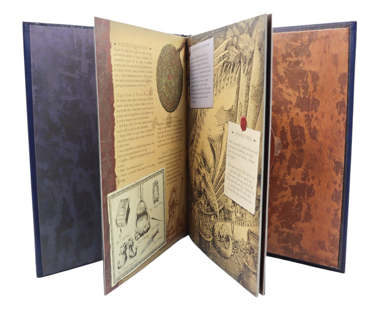 2007 Wizardology: A Guide to Wizards of the World Book