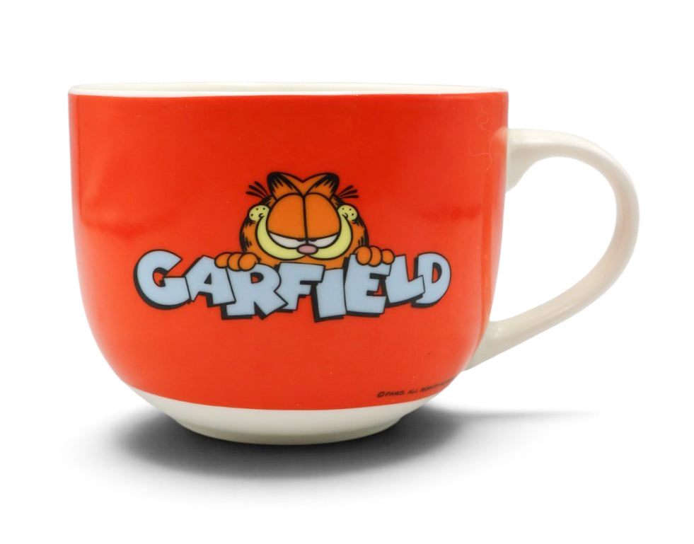 Garfield good looks are everything soup mug