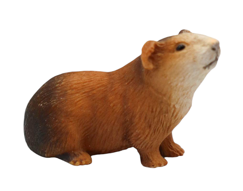 2005 Schleich Guinea Pig 14417