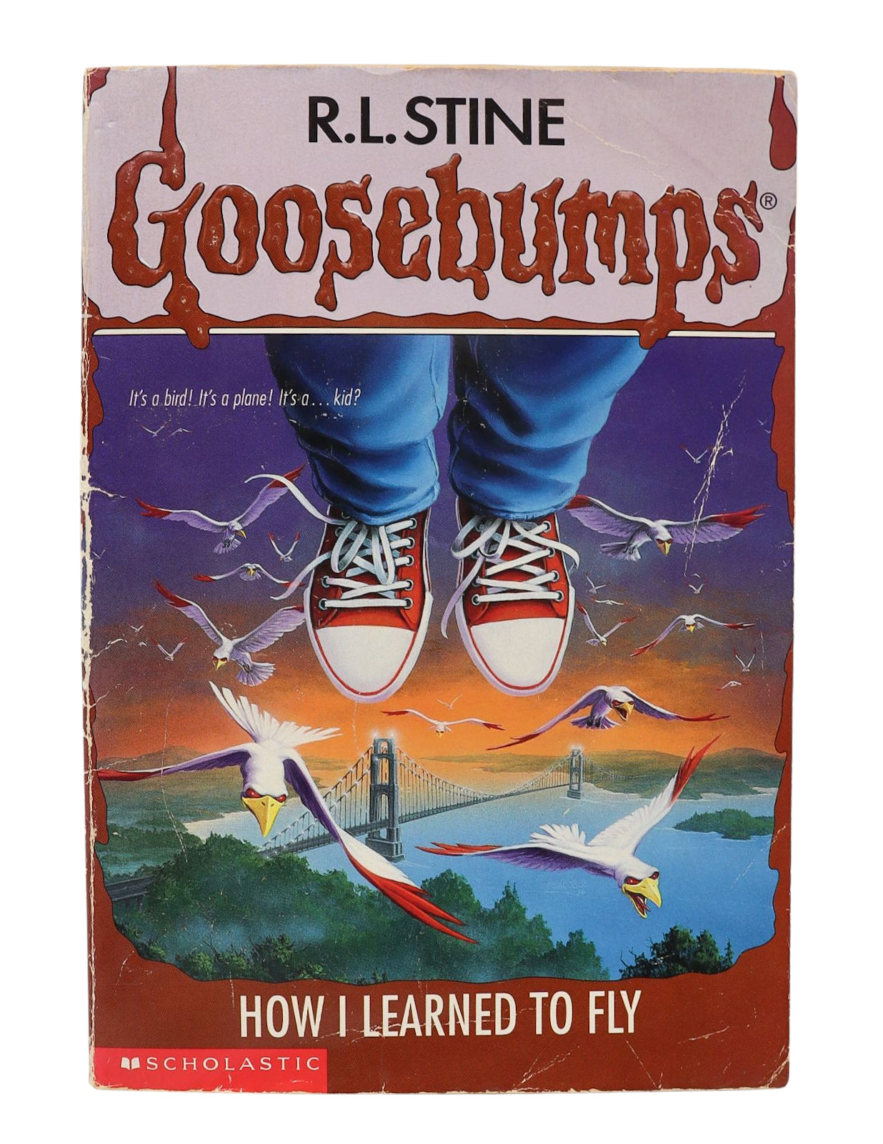Goosebumps How I Learned To Fly Book