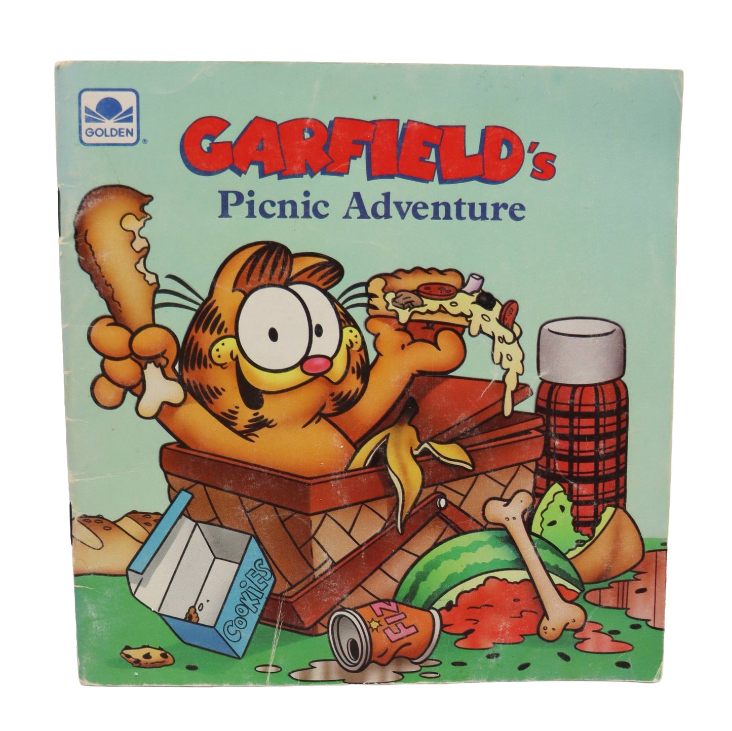 1980s Golden Books Garfield's Picnic Adventure