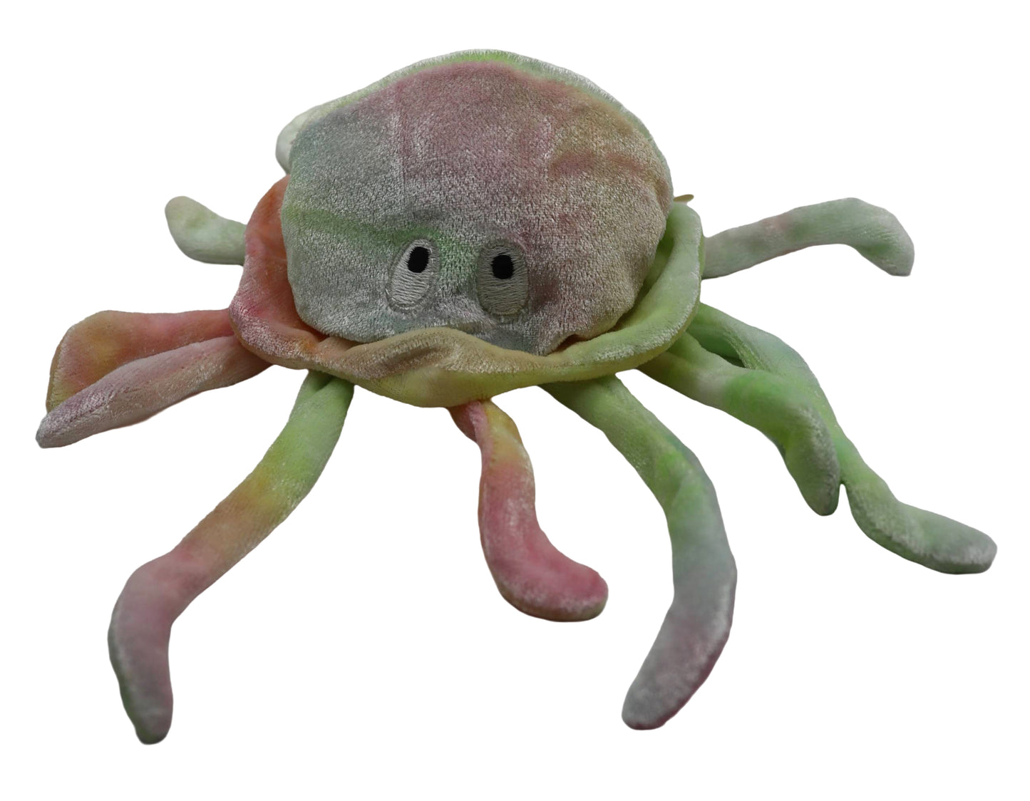 1999 TY Rainbow Jellyfish