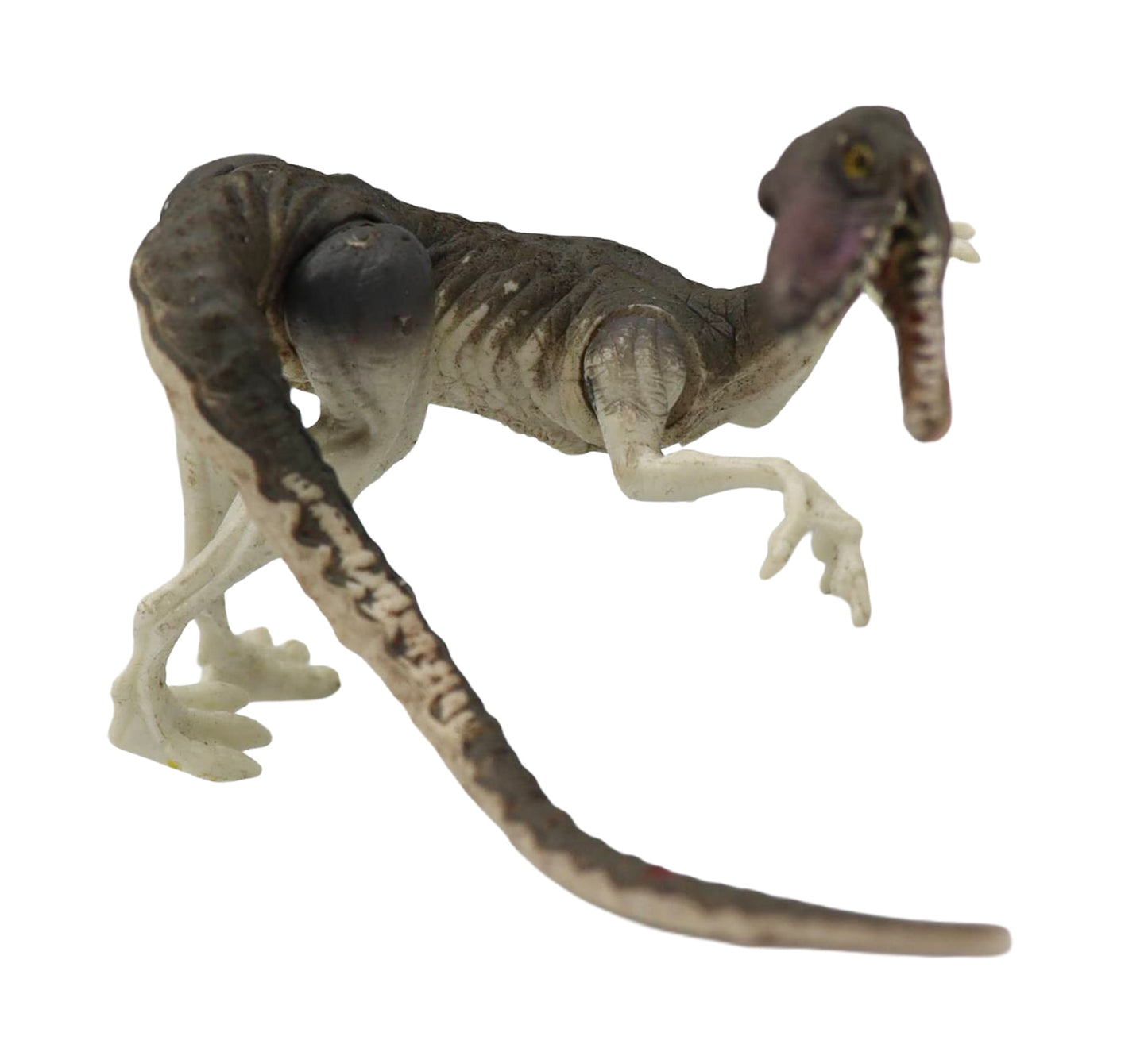 1993 Kenner Jurassic Park Coelophysis Dinosaur